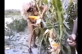 The Corn on the Cob.