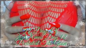 12 Days Of XXXmas Day: 12 Pixilated Tits Goon