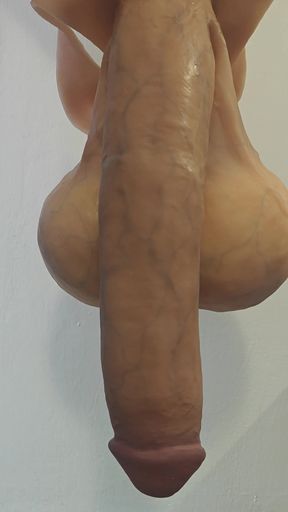 beautiful long penis with testicles