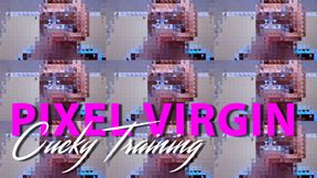 Virgin Pixel Fincuck Training