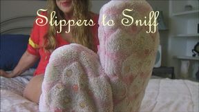 SLIPPERS TO SNIFF wmv