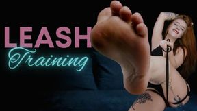 Leash Training