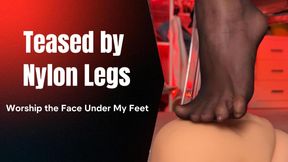Teased by Nylon Legs: Worship the Face Under My Feet