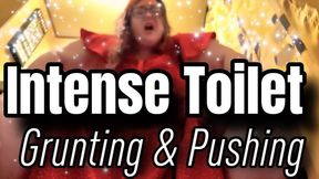 Intense Toilet Grunting & Pushing