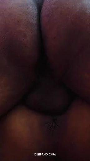 Big ass Desibang Snip