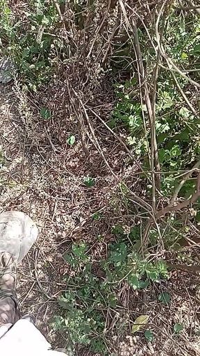Outdoor Fucking Anal and Pussy Gay Boy