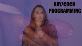 Gay Cock Programming