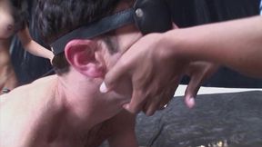two trans slut love rough sex with there submissive white boy