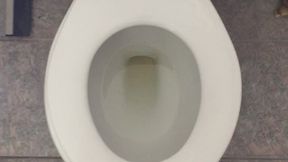 I PEE GOLD IN MY TOILET I PEE GOLD IN MY TOILET