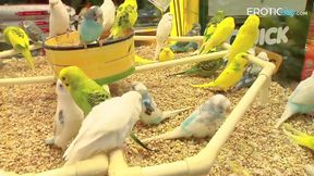 Mega hot Milf gets banged by her best friend