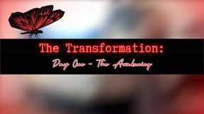 The Transformation: Day One - The Awakening