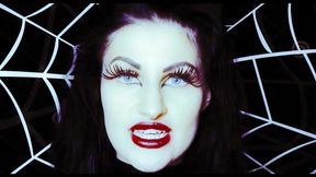 Caught in my cobweb...