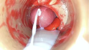 Thick creampie cumshot  Hot internal view  4K