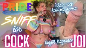 Pride Sniff for Cock an Aroma Encouragement Gay Humiliation JOI CEI