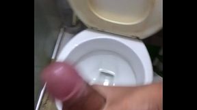 Novinho do P&ecirc_nis grande