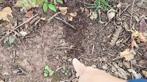 Drain Water on the Apple Garden