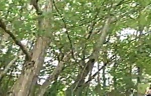 Jpn softcore movie 003 kaoru