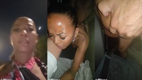 miiana - update #20 - feb 27, 2023