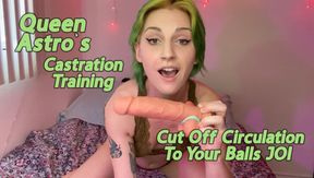 Castration Training - Cut Off Circulation To Your Balls JOI With Queen Astro