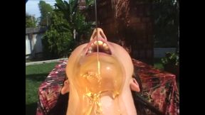 Busty Bitch Takes the Big Hard Cock