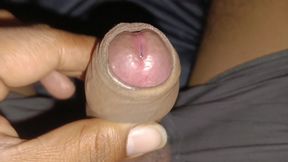 Today I Shook My Cock so Much That All the Water Came Out