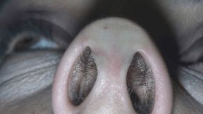 nostrils