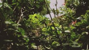 Gay Island Scene-2_two Muscular Gay Men Fucking Hard in the Jungle