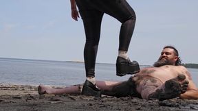 Gaspesie Cock Trampling