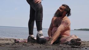 Gaspesie Cock Trampling