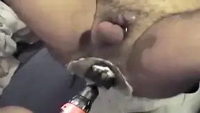 Bears Fisting
