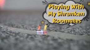 Playing With Tiny Roomates