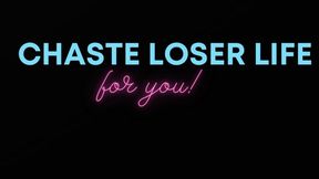 CHASTE LOSER LIFE FOR YOU