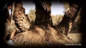 Sex in the dunes of Gran Canaria.