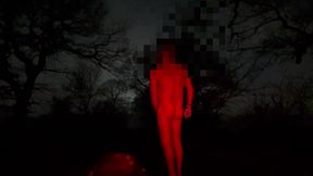 Naked from waist down flashing a car then strip totally naked