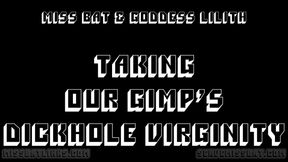 Dick-Hole Virginity