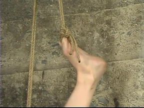 Billy Beef, Contractor #1, Contractor#5, Contractor #2, Contractor #3, Contractor #4 and Mallory Kno