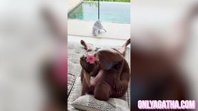 He was trying to read until I CLIMBED on top and MADE him FILL me up with CUM... POV