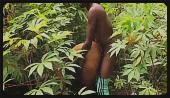 Intense Ebony & Latina Farm Passion | Hot Rough Sex