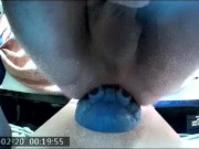 XL Ika from the front