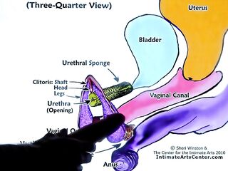 SQUIRTING TUTORIAL two !!! Mr PussyLicking