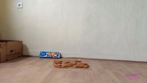 Sneaker-Girl Darleen - Some Fishsticks Crush