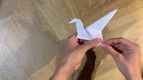 ASMR dinosaur origami