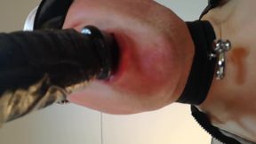 Sucking a Dildo up Close