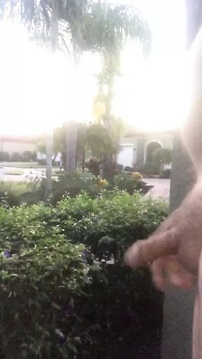 Risky Front Porch Stroking