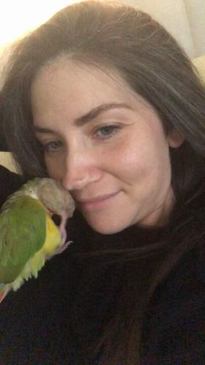 Lovins