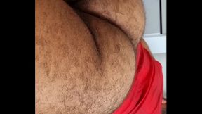 UM RAB&Atilde_O DEMACHO PELUDO.