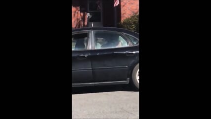 MILF FUCKING IN PUBLIC