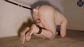 Anal Training For Men - INSTITUTION X