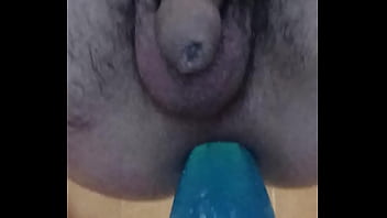 Plug anal