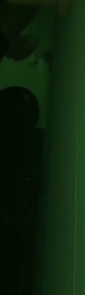 Night Vision: Balls Deep Anal Fuck with Bwc Dildo